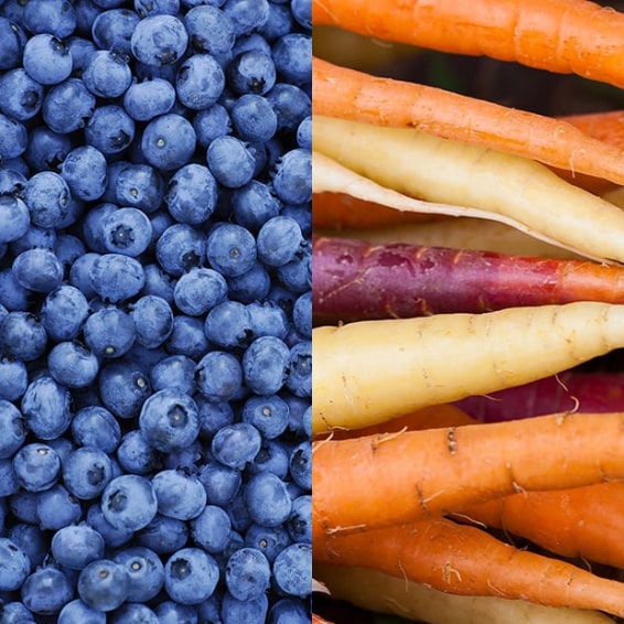 close up of blueberries and carrots